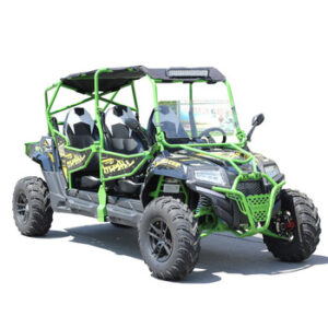 Buggy Rentals for Samara Exploration